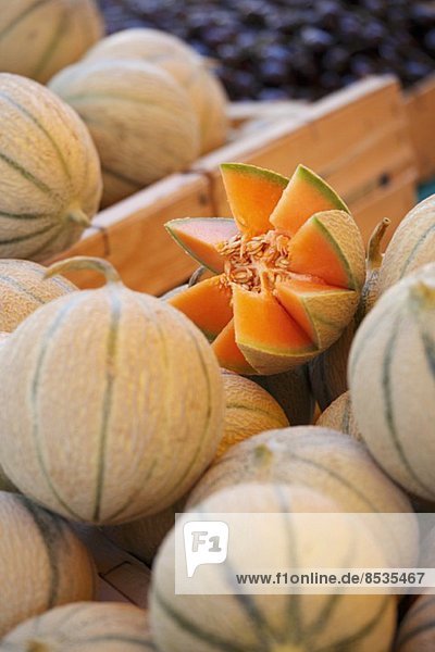 Frische Cantaloupemelonen in Steigen