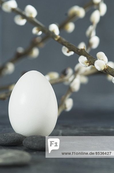 A white egg,  twigs of pussy willow,  and granite