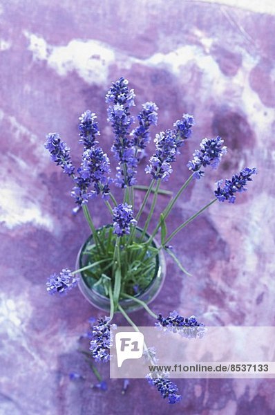 Lavendelstrauss in einem Glas