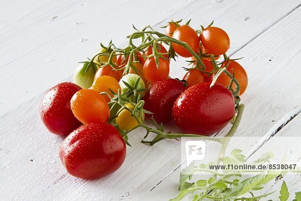 Holztisch Sortiment Tomate