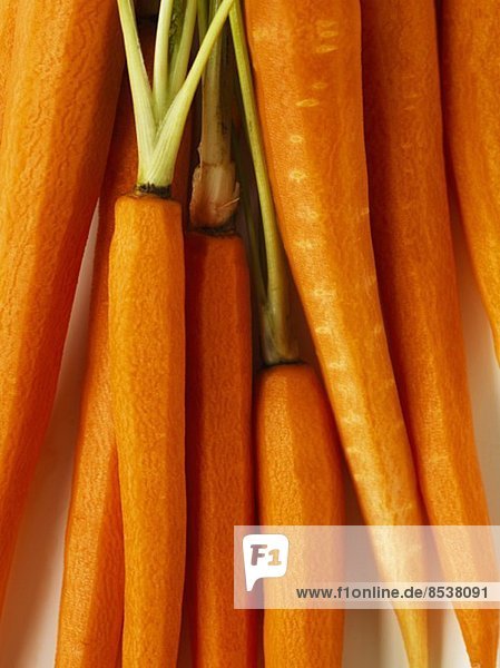 Carrot
