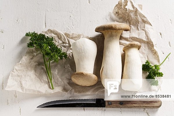 King trumpet mushrooms (Pleurotus eryngii) with parsley on packing paper  with a knife