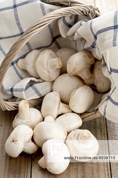 White mushrooms in and next to a basket