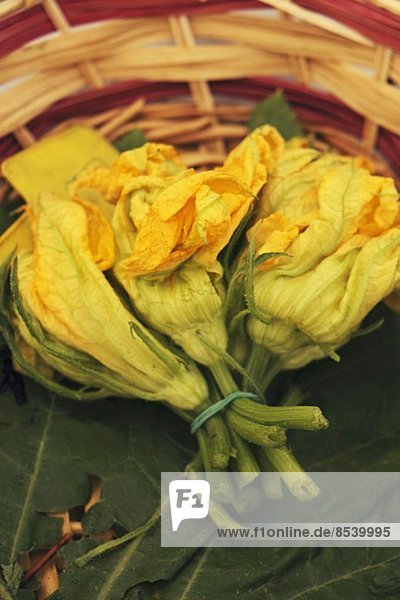 Courgette flowers  tied in a bunch  in a basket