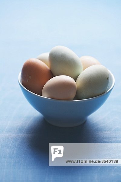 Kleine Schüssel mit verschiedenfarbigen frischen Eiern