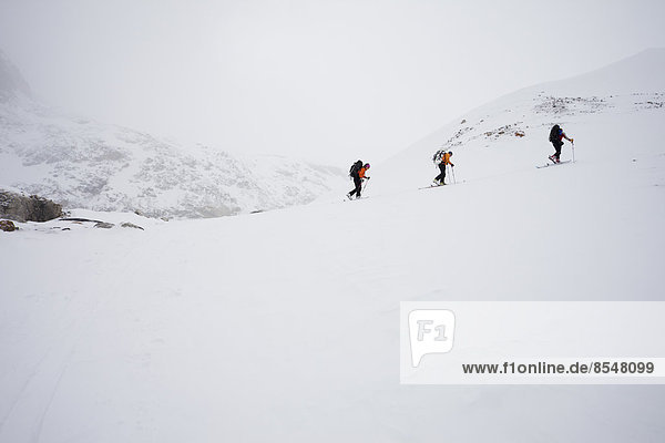 Drei Skifahrer  die auf der Wapta-Traverse  einer Skitour von Hütte zu Hütte in Alberta  Kanada  bei Nebel und Wolken einen Bergrücken erklimmen.