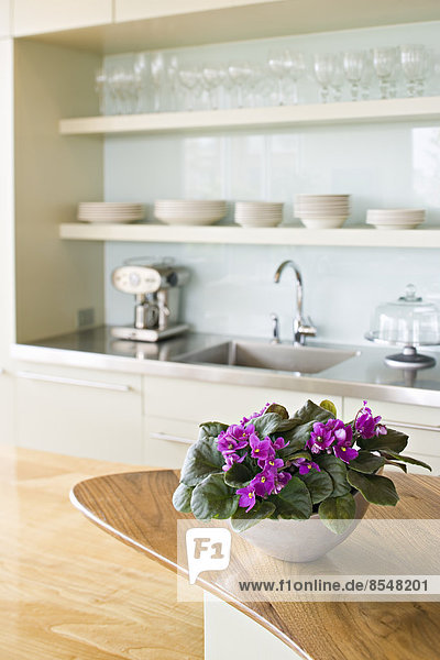 A traditional farmhouse kitchen with a kitchen island  and a bowl of African violet plants  pink Saintpaulia in flower.