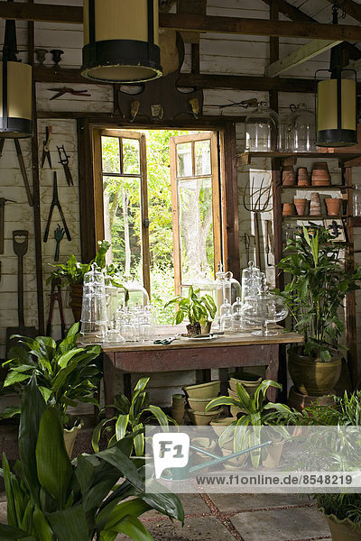 Ein Zimmer in einem Haus mit Pflanzen auf jeder Oberfläche. Glänzend grüne Blätter.
