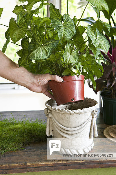 A person holding a potted plant.