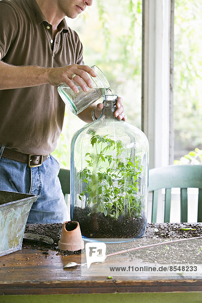 Zimmerpflanzen. Gartenarbeit in Innenräumen. Ein junger Mann beim Umtopfen und Anlegen eines Terrariums in einem Glasgefäß.