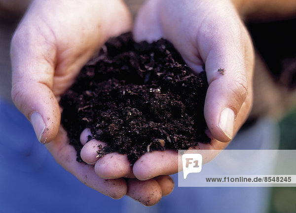 Two hands full of rich moist dark soil or potting compost  for planting out small seedlings.