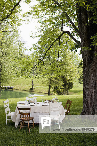 Ein elegant gedeckter Tisch unter einem großen Baum im Garten.