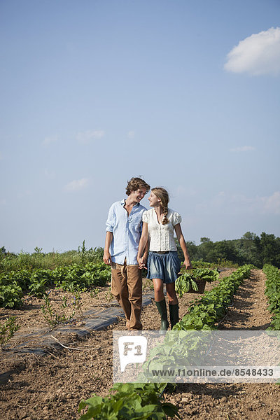 Ein junges Paar  ein Mädchen und ein Junge  gehen an einer Reihe von Gemüsepflanzen auf einem Feld entlang und halten sich an den Händen.