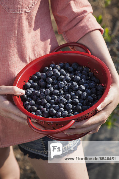 A girl in a pink shirt holding a large bowl of harvested blueberry fruits.