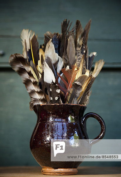 A collection of bird feathers in a brown pottery jug on a shelf.