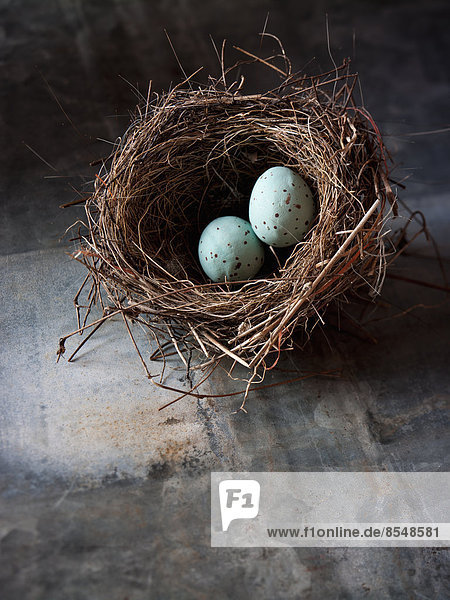 A small intricately woven bird's nest. Two small turquoise eggs.