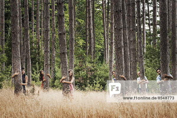 Eine Gruppe von Menschen  die mit der Natur kommuniziert und hohe  gerade Bäume im Wald umarmt.