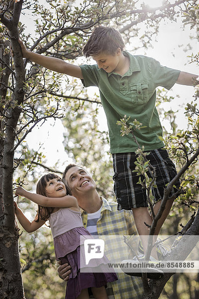 An adult with two children climbing trees.