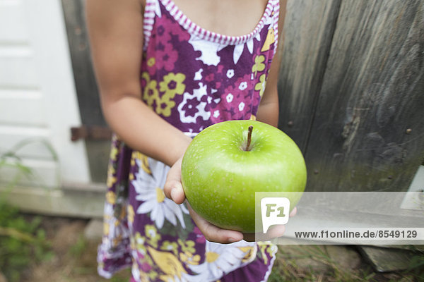 A child with pigtails chewing a large green apple.
