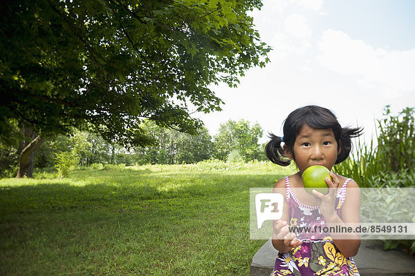 A small child with pigtails chewing a large green apple.