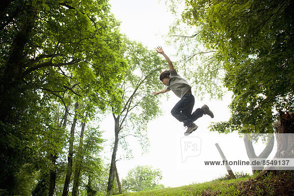 A boy leaping from a swinging rope in the woods.
