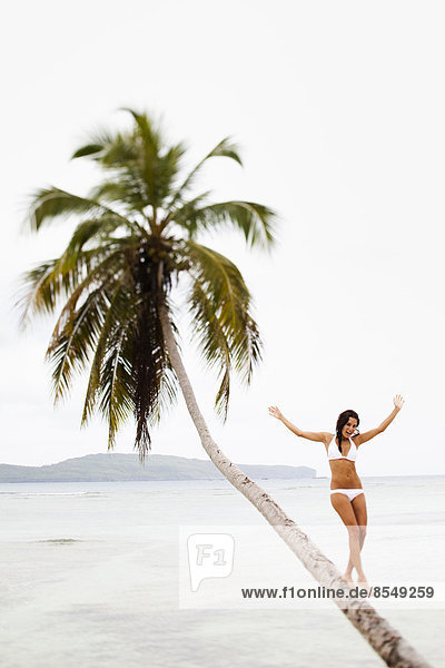 Eine Frau balanciert auf einer schiefen Palme in Las Galeras  Halbinsel Samana  Dominikanische Republik.