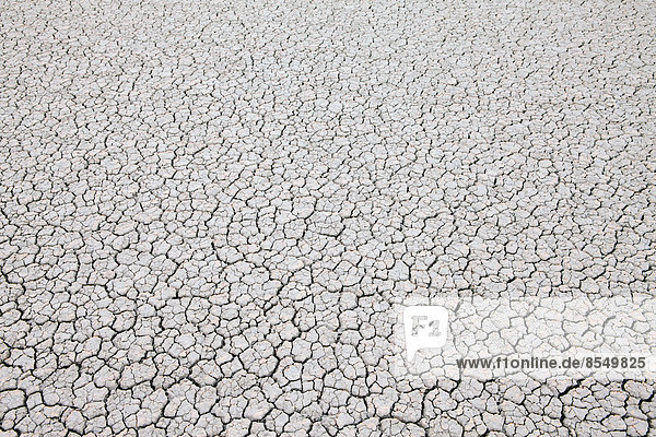Trockene rissige Wüstenoberfläche  Schwarze Steinwüste in Nevada  USA