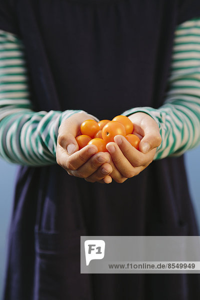 Neunjähriges Mädchen hält eine Handvoll gelbe Bio-Kirschtomaten