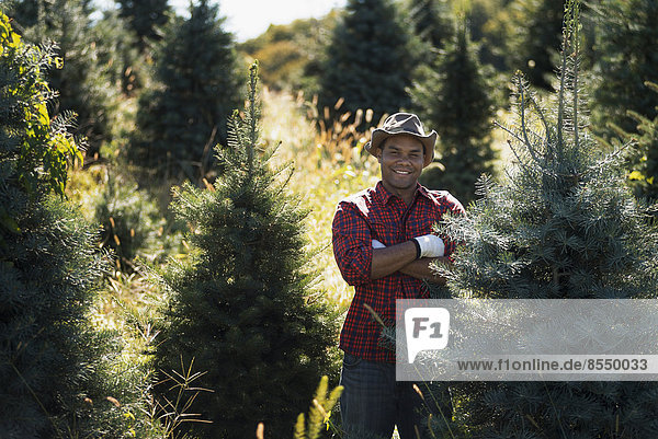 Ein Mann mit kariertem Hemd und großem Hut mit Krempe in einer Plantage mit organischen Weihnachtsbäumen.