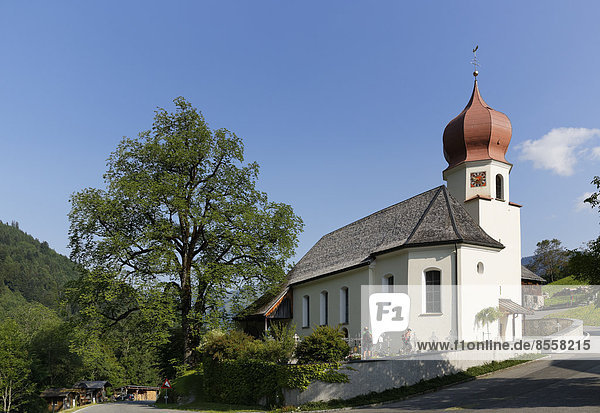 Filial Church of St. Catherine and a Wych elm or Scots elm in Marul  community of Raggal  Großes Walsertal  Vorarlberg  Austria