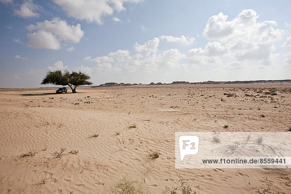 Wüstenlandschaft  Oman