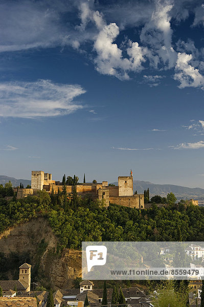 Alhambra  UNESCO Weltkulturerbe  Granada  Andalusien  Spanien