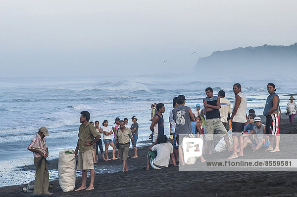 Turtle egg collectors on the beach waiting for the arrival of Olive Ridley Sea Turtles (Lepidochelys olivacea)  Ostional  Costa Rica