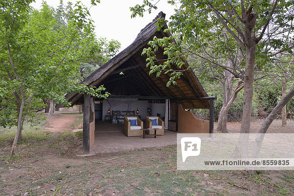 Chalet of the Nkwali Lodge  Mfuwe  South Luangwa National Park  Zambia