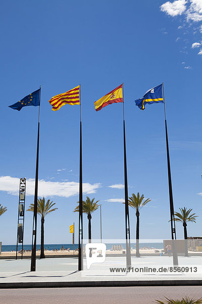 Flags of Spanish regions on flagpoles against blue sky  Salou  Catalonia  Europe