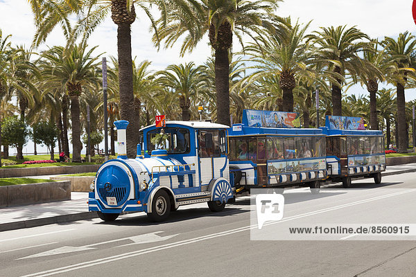 Tourist train in front of palm trees  Salou  Catalonia  Spain