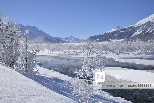 Snow-covered landscape and the Inn River  Bever  Engadine  Canton of Graubünden or Grisons  Switzerland