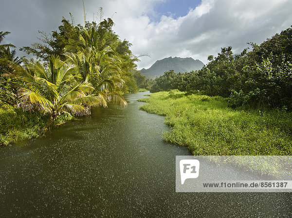 Stream with rain and sun  Hanalei Valley  Hanalei  Kaua?i  Hawaii  USA