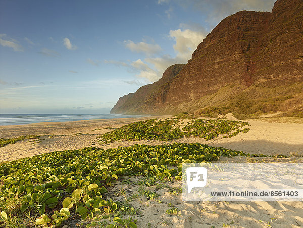 Sandy beach on the Napali Coast  Polihale State Park  Kaua'i  Hawaii  USA