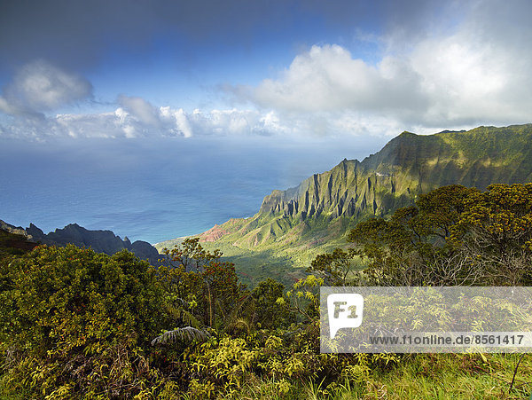 Kalalau Valley Koke'e State Park Kauai Hawaii USA