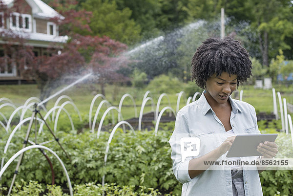 Eine biologische Gartenbau-Gärtnerei und Farm außerhalb von Woodstock. Eine Frau hält ein digitales Tablett in der Hand.