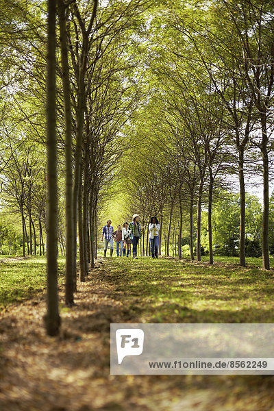 Eine Gruppe von Freunden geht eine Baumallee im Wald entlang.