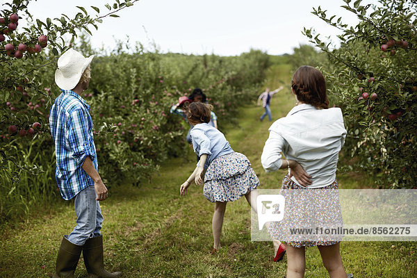 Reihen von Obstbäumen in einem biologischen Obstgarten. Ein Mann und drei junge Frauen bewerfen sich gegenseitig mit Früchten.