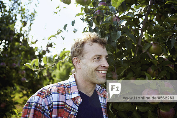 Ein Mann in einem karierten Hemd in einem Apfelbaumgarten.