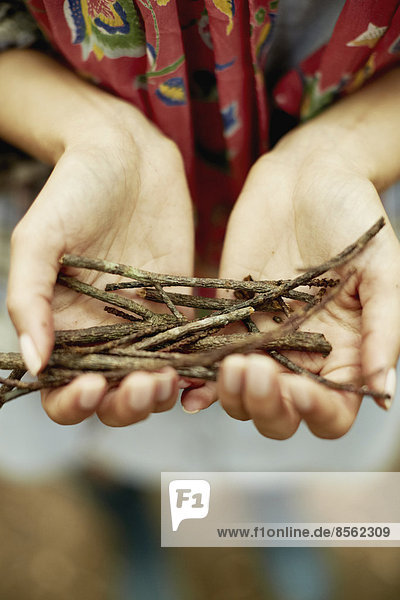 A person's hands holding a small bunch of twigs  kindling for the camp fire.