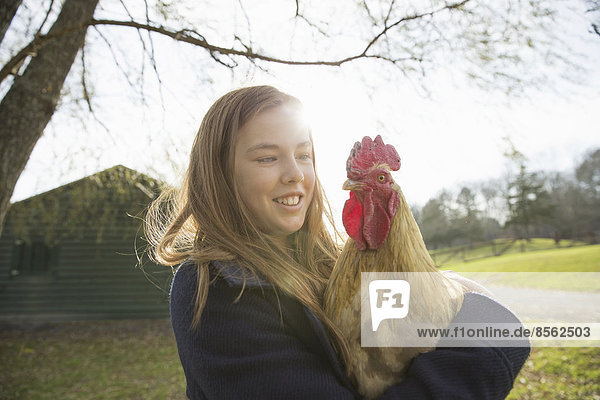 An animal sanctuary. A young girl holding a chicken with brown feathers and a red coxcomb.