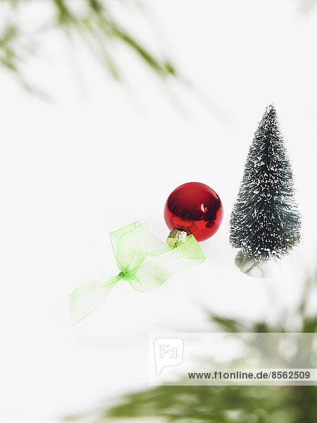Stilleben. Grünes Blattwerk und Dekorationen. Ein Kiefernzweig mit grünen Nadeln. Weihnachtsschmuck. Ein roter Ornament.