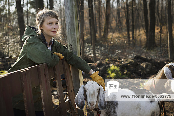 Eine Frau steht in einer Koppel mit einer Ziegenherde auf einem Bio-Milchviehbetrieb.