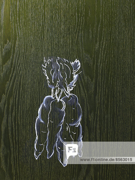 Ein Linienzeichnungsbild auf einem Hintergrund mit natürlicher Holzmaserung. Ein Bündel Möhren mit Blattspitzen.