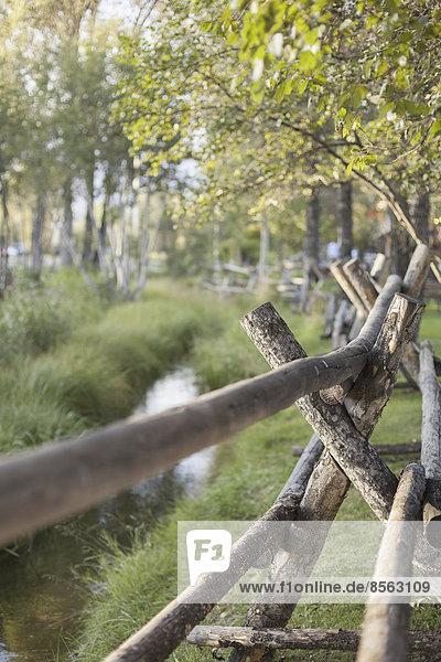 Eine ländliche Szene  Blick über einen Zaun aus Holzpfählen. Ein kleiner Bach. Bäume mit lebhaft grünen Blättern.